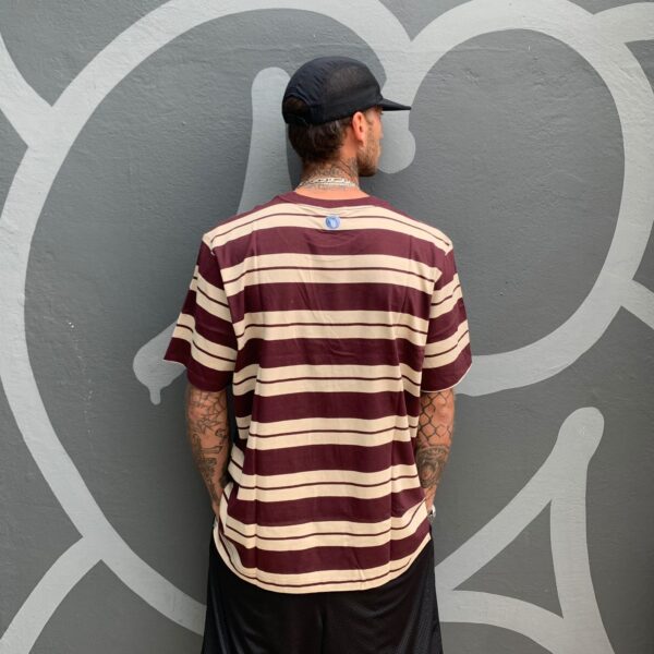 WhatsApp Image 2025-11-13 at 17.35.16 (2) Camiseta Tupode Listrada ANC Vinho Bege